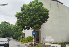 Cơ hội hiếm có: Nhà mặt phố 3 tầng tại khu tái định cư Phù Khê với giá tốt nhất khu vực... Bán nhà mặt phố tại Phù Khê, Bắc Ninh 06