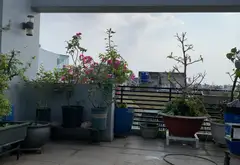 ​Mặt tiền kinh doanh đường Trần Thủ Độ Tân Phú, 5 tầng đúc, sát Nguyễn Sơn, nhỉnh 12 tỷ... Bán nhà mặt phố tại Phú Thạnh, Hồ Chí Minh 17