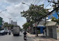 đường số 5 P.Trường Thọ cũ.

CG : Lô đất trống vuông đẹp phân khúc hiếm Trung tâm... Bán đất tại Thủ Đức, Hồ Chí Minh 02
