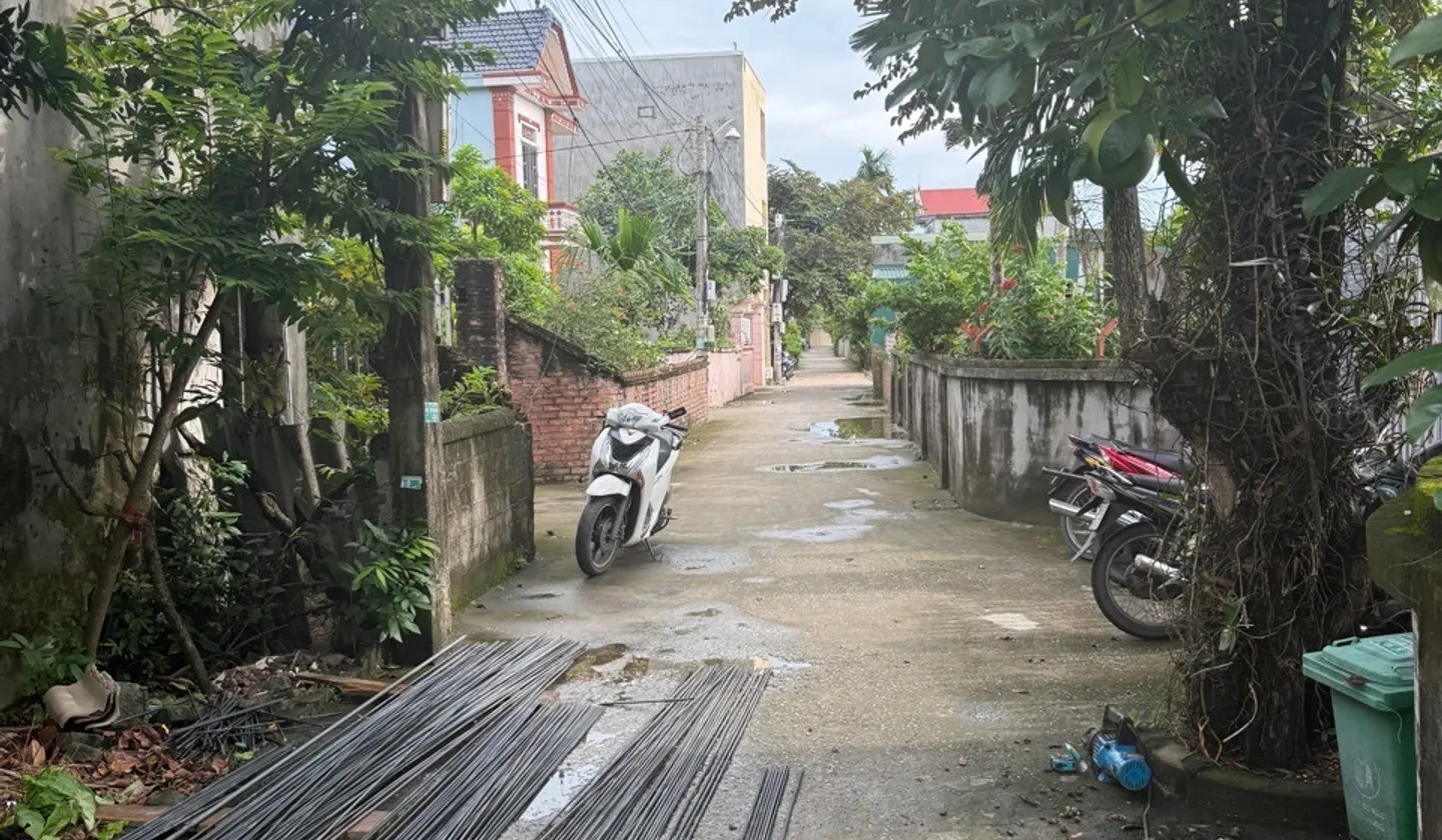 Bán đất mặt tiền tổ dân phố Đào Yêu, phường An Hải, TP. Hải Phòng, diện tích 50m² vị trí trung tâm... Bán đất tại An Hải, Hải Phòng 01