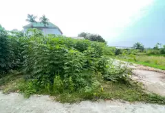 Cơ Hội Hiếm Có Sở Hữu Đất Góc Đường Ô Tô Gần Sân Bay Nội Bài... Bán đất tại Nội Bài, Hà Nội 03