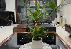 Biệt thự ven tiện ích Vinhomes Imperia hướng Tây Nam, 4 tầng hiện đại... Bán biệt thự, liền kề tại Hồng Bàng, Hải Phòng 09