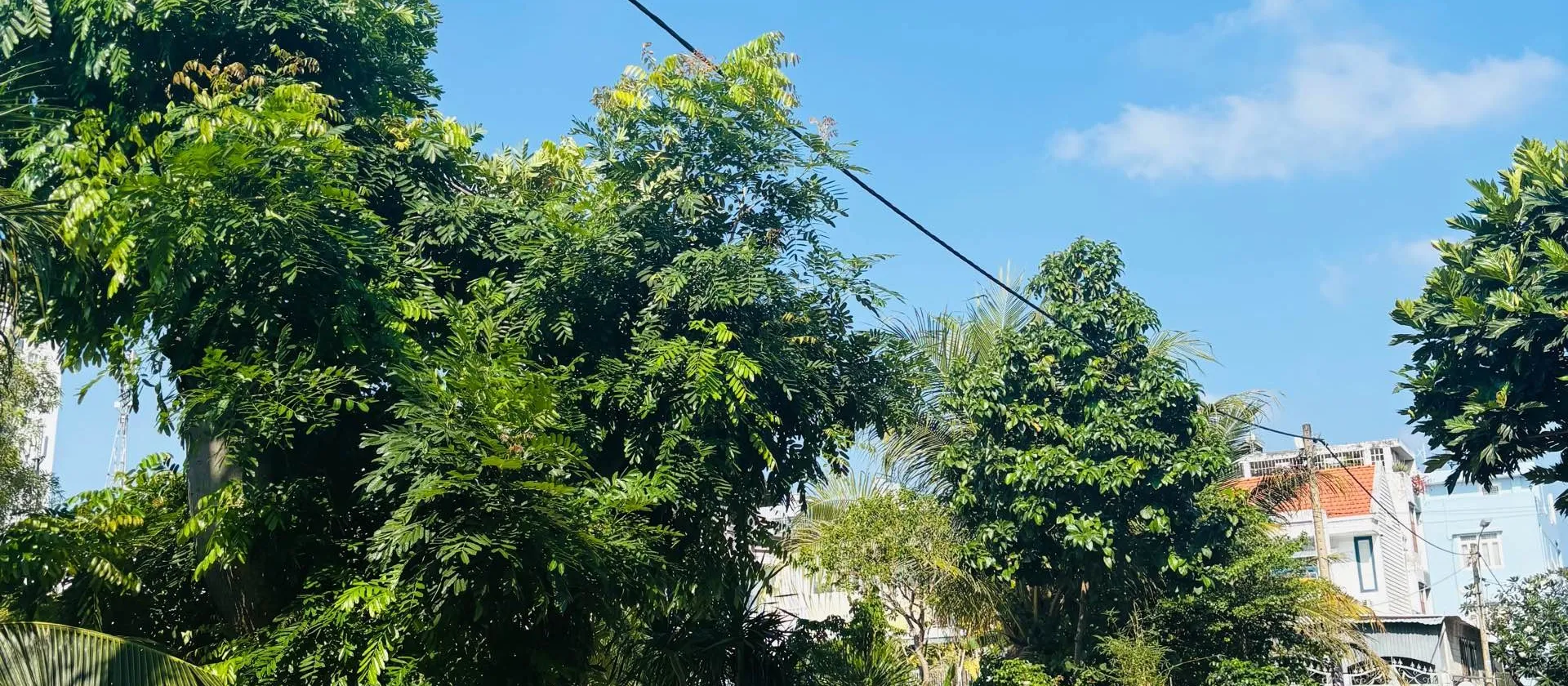 Bán Đất 88m² - Phạm Thế Hiển, Quận 8 - Giá 6.18 Tỷ, Tiện Kinh Doanh... Bán đất tại Bình Đông, Hồ Chí Minh 01
