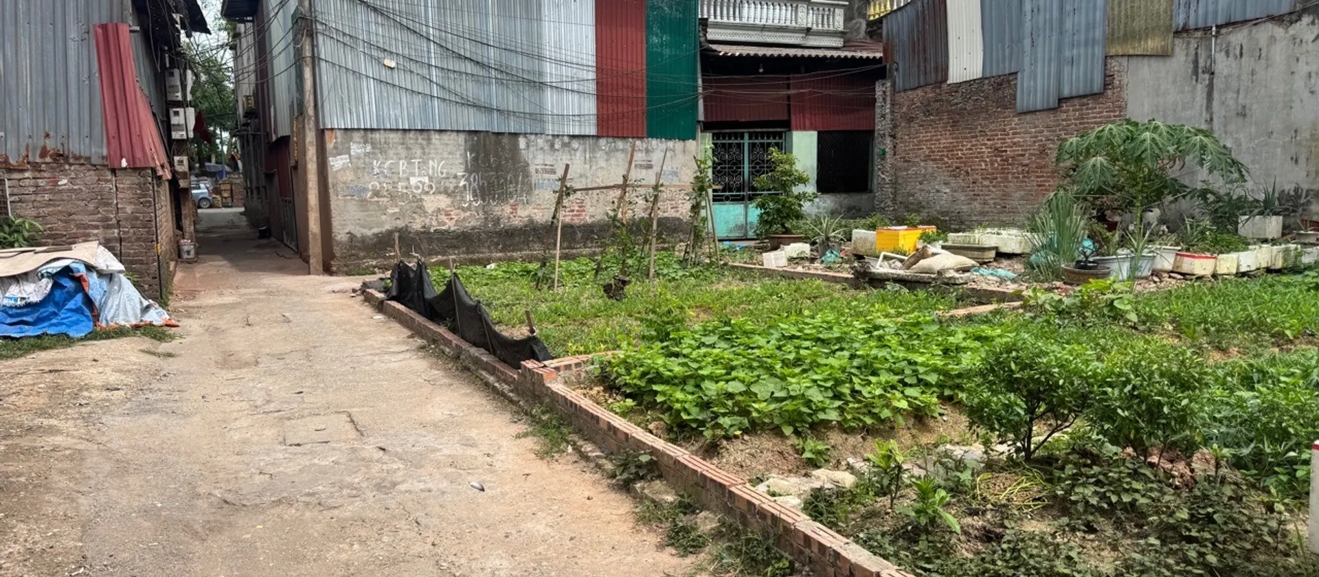 Cơ hội vàng sở hữu đất vị trí đắc địa Phường Phù Khê, Bắc Ninh... Bán đất tại Phù Khê, Bắc Ninh 01