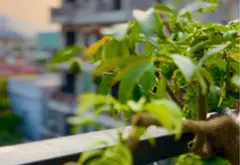 Bán nhà mặt phố Đinh Lễ, Sơn Trà, 75m2, 3 tầng 1 tum, 7 phòng ngủ... Bán nhà mặt phố tại Sơn Trà, Đà Nẵng 13