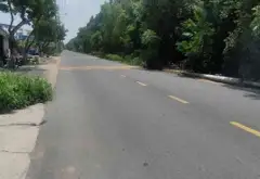 Bán đất 6000m2 mặt tiền 56m tại An Thới Đông TP HCM... Bán đất tại An Thới Đông, Hồ Chí Minh 01