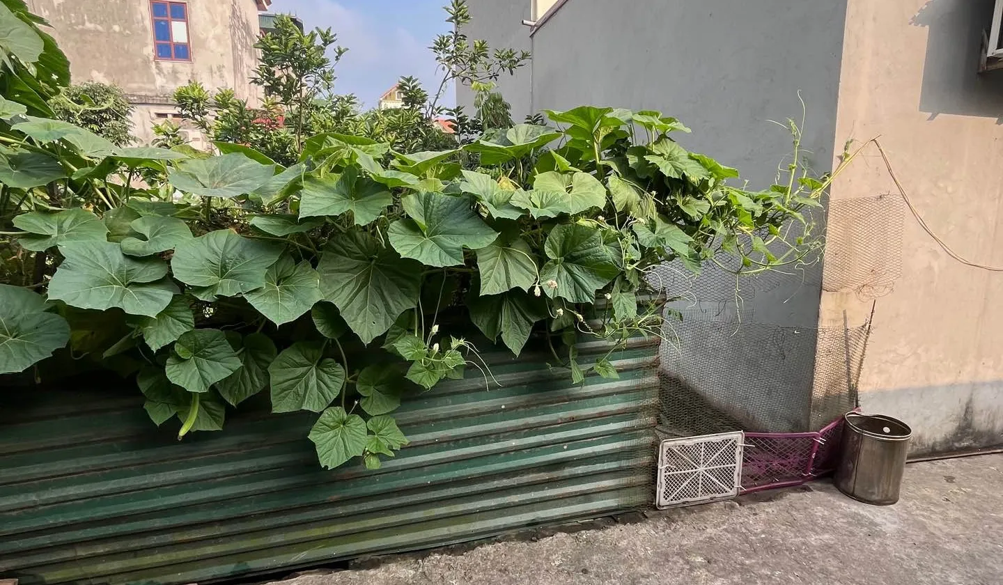 Cơ hội hiếm có sở hữu đất vàng giữa tâm dự án khu A Vin Olympic - Nhị Khê, Thường Tín... Bán đất tại Thường Tín, Hà Nội 01