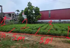 Đất đẹp giá tốt tại Mai Thượng - Việt Yên... Bán đất tại Tự Lạn, Bắc Ninh 14