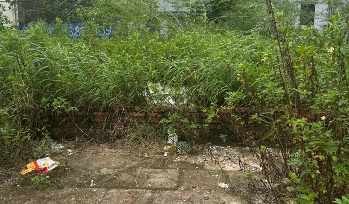 Đất phân lô khu tuyến 2 Lê Hồng Phong, hướng Tây Bắc, mặt tiền rộng... Bán đất tại Gia Viên, Hải Phòng 01