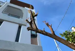 GIÁ MỚI CHỈ 8,2 TỶ – CĂN 4 TẦNG LÊ VĂN THỌ GV 4x24,7... Bán nhà riêng tại Thông Tây Hội, Hồ Chí Minh 15