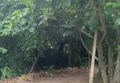Cơ hội hiếm có sở hữu 1200m đất Thới An giá chỉ 5.7 tỷ... Bán đất tại Thới An, Hồ Chí Minh 06