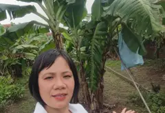 🔥🔥🔥Ngay sát Hà Nội. Chỉ nhỉnh 4tỷ có ngay lô đất 101,5m², Mt: 5m, sổ đỏ cất két, giao dịch ngay... Bán đất tại Văn Giang, Hưng Yên 01