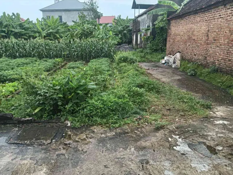 Đất Lô Góc Thoáng Mát Giá Hợp Lý Tại Khu Dân Cư Sầm Uất... Bán đất tại Sóc Sơn, Hà Nội 01