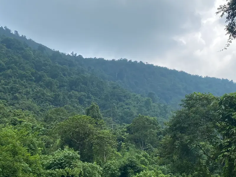 Đất Xã Bố Hạ, Bắc Ninh... Bán đất tại Bố Hạ, Bắc Ninh 01