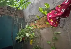 Bán nhà riêng 1 tầng tại phường Bình Hưng Hòa, diện tích 79 m2, pháp lý cơ sở... Bán nhà riêng tại Bình Hưng Hòa, Hồ Chí Minh 05