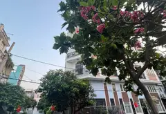 Nhà Phân Lô Tân Hoà Đông - Vừa Ở Vừa Kinh Doanh Chuẩn Xịn... Bán nhà riêng tại Bình Trị Đông, Hồ Chí Minh 05
