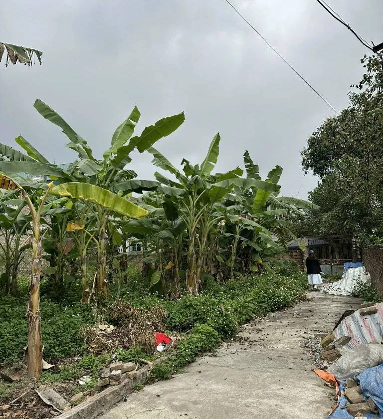 Bán đất 46m² hướng Đông Nam tại xã Quang Tiến, ô tô vào, pháp lý cơ sở... Bán đất tại Nội Bài, Hà Nội 01