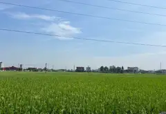 Đất đẹp Yên Phong, ngõ thông, Oto vào tận nơi... Bán đất tại Yên Phong, Bắc Ninh 12