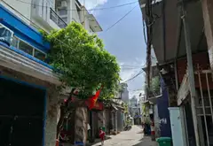 💥💥GÒ VẤP.BÙI QUANG LÀ $ HẠ CÒN 8.9 TL
👉DT: 85M2( 5.3 ×22.7 )
👉HẺM XE TẢI - MUA ĐẤT TẶNG NHÀ -... Bán nhà riêng tại An Hội Tây, Hồ Chí Minh 05