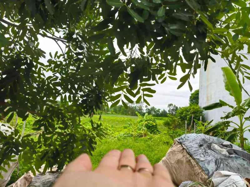 THÔN ĐÔNG MAI - LẠC ĐẠO - HƯNG YÊN... Bán đất tại Như Quỳnh, Hưng Yên 01