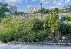 BÁN THỬA ĐẤT THÔN XUÂN ĐÀO, ĐƯỜNG HÀO - Ô TÔ VÀO ĐẤT - GẦN HỒ Ở SƯỚNG... Bán đất tại Đường Hào, Hưng Yên 09
