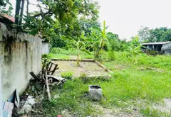 Cơ hội hiếm có sở hữu đất phân lô giá tốt tại phường Đường Hào, Hưng Yên... Bán đất tại Đường Hào, Hưng Yên 01