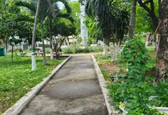 Nhà mặt phố 97.5m2, 6.5m mặt tiền, đối diện công viên tại Quận 12... Bán nhà mặt phố tại Tân Thới Hiệp, Hồ Chí Minh 01