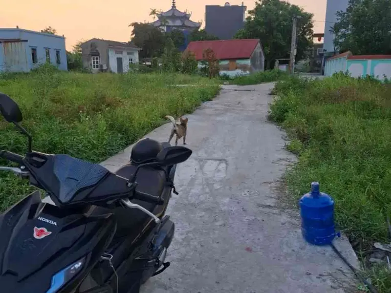 Đất nền vị trí vàng tại Tê Chử, An Dương cho nhà đầu tư và an cư... Bán đất tại An Hải, Hải Phòng 01