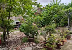 Nhà mặt phố góc 2 mặt tiền Bình Chánh - Cơ hội có 1 không 2... Bán nhà mặt phố tại Vĩnh Lộc, Hồ Chí Minh 07