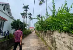 Khu đất nền sang trọng tại thôn Quán Trang, Bát Trang, An Lão... Bán đất tại An Lão, Hải Phòng 03