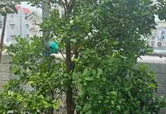 Nhà phố sang trọng, mặt tiền rộng tại Bình Tân, thuận tiện kinh doanh... Bán nhà mặt phố tại Bình Tân, Hồ Chí Minh 04