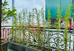 Nhà 6 tầng thang máy, 10 phòng ngủ, gần Giáp Bát... Bán nhà riêng tại Tương Mai, Hà Nội 14