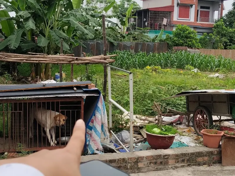 Siêu phẩm đất kinh doanh mặt tiền trục chính Quang Tiến... Bán đất tại Sóc Sơn, Hà Nội 01