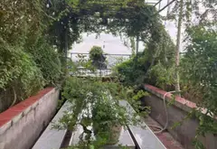 Nhà mặt tiền đắc địa Lê Thị Riêng Quận 12 - 4 tầng - thu nhập ổn định 30 triệu/tháng... Bán nhà mặt phố tại Thới An, Hồ Chí Minh 08