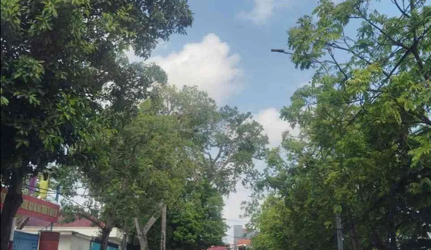 Lô góc 3 mặt thoáng tại khu Lâm Động, P. Thiên Hương, Hải Phòng... Bán đất tại Thiên Hương, Hải Phòng 01