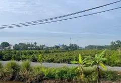 Bán đất 3839m2 mặt tiền 25m đường nhựa tại Bình Chánh... Bán đất tại Bình Lợi, Hồ Chí Minh 01