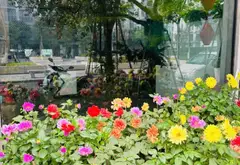 Cơ Hội Vàng Sở Hữu Biệt Thự Đơn Lập Đẳng Cấp Tại The Manor Nguyễn Xiển... Bán biệt thự, liền kề tại Thanh Liệt, Hà Nội 07