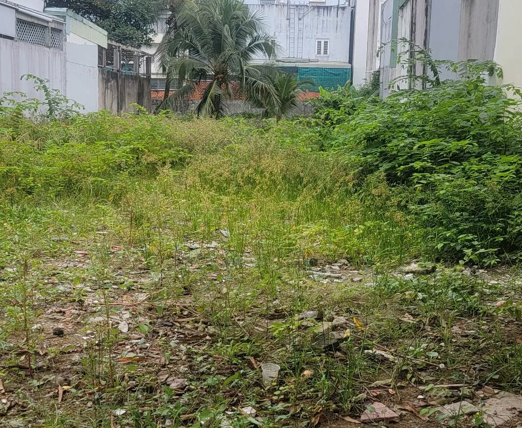 Bán nhà mặt phố diện tích 408.5m² ở xã kế bên 8, mặt tiền 6.3m... Bán nhà mặt phố tại An Phú Đông, Hồ Chí Minh 01