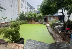 Cơ Hội Vàng Sở Hữu Đất Vị Trí Đẹp Tại Đại Thanh, Hà Nội... Bán đất tại Đại Thanh, Hà Nội 01