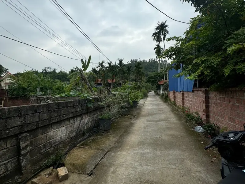 Sở hữu ngay lô đất đẹp view rộng tại Thủy Nguyên... Bán đất tại Lưu Kiếm, Hải Phòng 01
