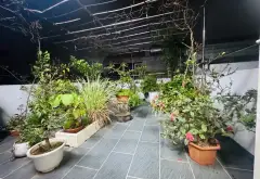 Cơ hội vàng sở hữu nhà 5 tầng tuyệt đẹp gần phố cổ, giá chốt linh động... Bán nhà riêng tại Bồ Đề, Hà Nội 10