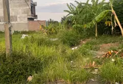 Đất đẹp Mão Điền giá tốt, ô tô vào tận nơi... Bán đất tại Mão Điền, Bắc Ninh 05