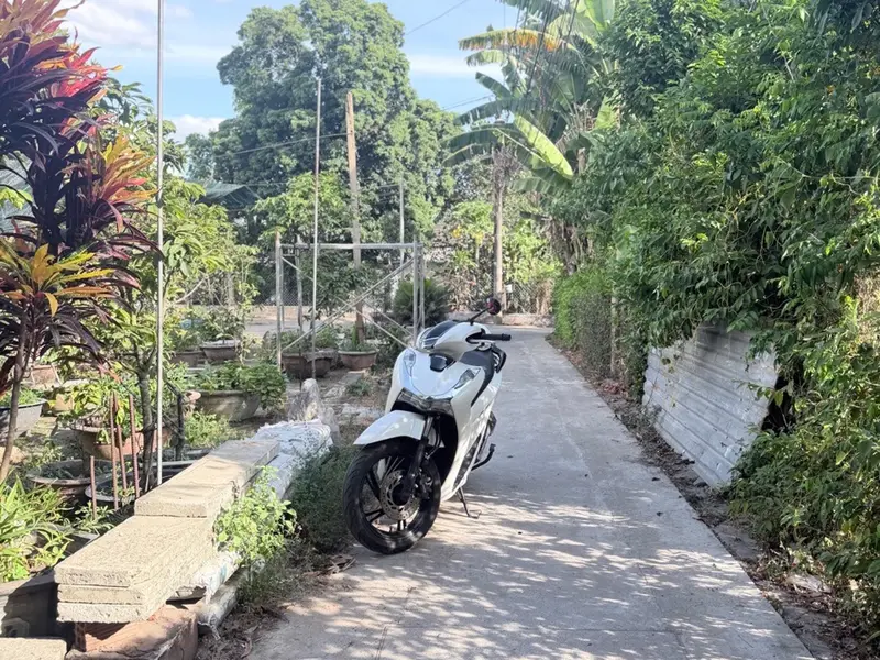 Cơ Hội Sở Hữu Lô Đất 3 Mặt Thoáng Hiếm Có Tại Khu Vực Trường Chinh... Bán đất tại Cẩm Lệ, Đà Nẵng 01