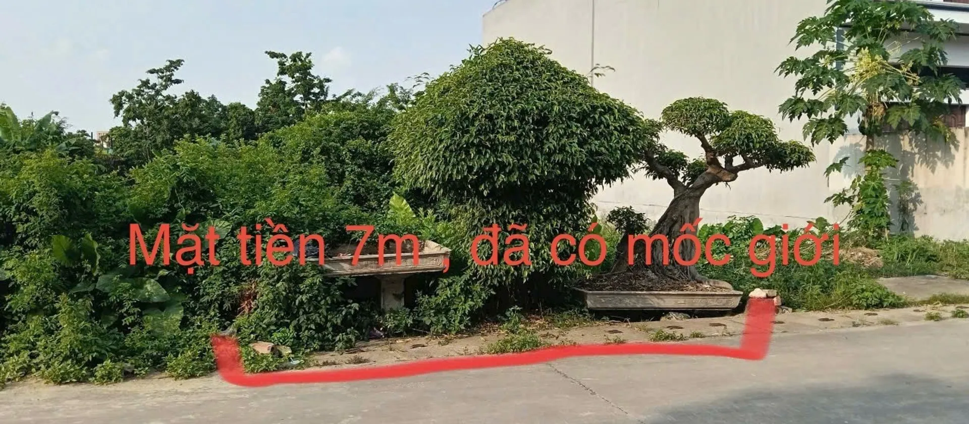 Cơ hội sở hữu đất 2 mặt thoáng gần hồ câu, vị trí vàng tại Thôn Lạc Xá... Bán đất tại Quế Võ, Bắc Ninh 01