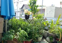 Nhà Phan Huy Ích 4PN, Hẻm 8m Rộng Rãi, Giá Siêu Tốt... Bán nhà riêng tại Tân Sơn, Hồ Chí Minh 04