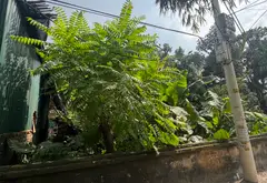 Cơ hội vàng sở hữu đất sát nhà văn hóa Vạn Phúc - Ô tô đỗ cửa, giá hợp lý... Bán nhà riêng tại Nam Phù, Hà Nội 09
