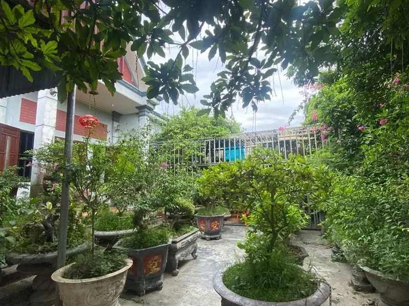 Nhà mặt phố An Lão - Kinh doanh đỉnh, kết nối mọi hướng... Bán nhà mặt phố tại An Lão, Hải Phòng 01