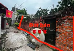 Bán đất 190m2 mặt tiền rộng ở phường Song Liễu Bắc Ninh... Bán đất tại Song Liễu, Bắc Ninh 05