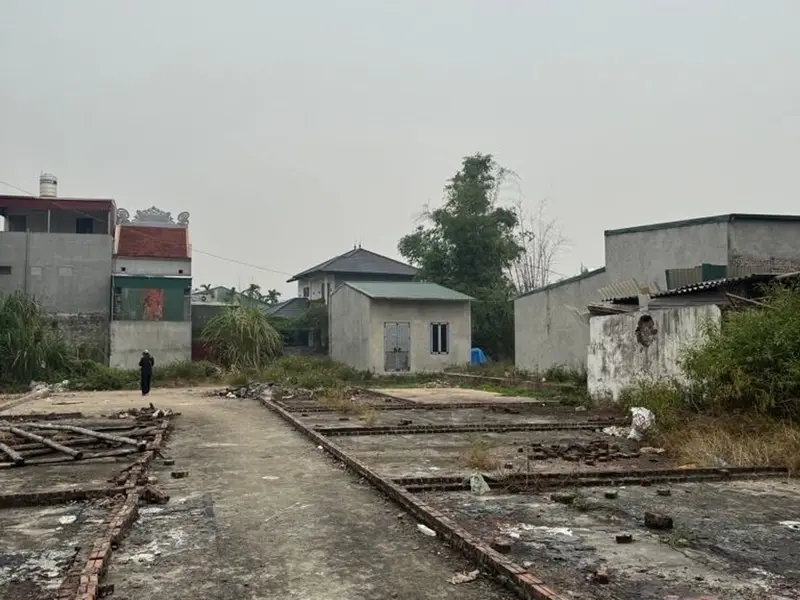 Cơ hội vàng sở hữu đất nền khu vực Thường Tín, mặt tiền rộng, pháp lý hoàn chỉnh... Bán đất tại Thường Tín, Hà Nội 01