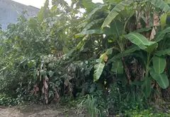 Cơ Hội Vàng Sở Hữu Đất Vị Trí Vàng Phường Hồng An... Bán đất tại Hồng An, Hải Phòng 04